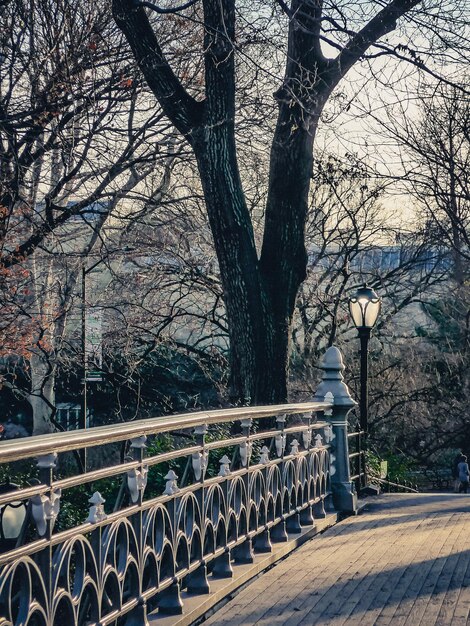 Photo central park dans la neige de l'hiver new york usa