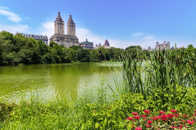 Central Park le lac Manhattan à New York