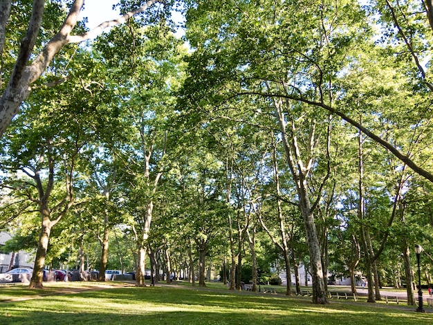 Central Park New York