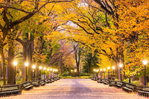 Central Park à New York