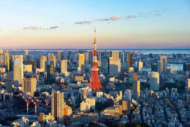 Le centre de Tokyo et la tour de Tokyo