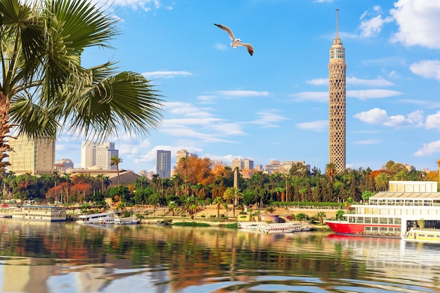 Centre-ville du Caire, vue sur le Nil et la Tour, Egypte.