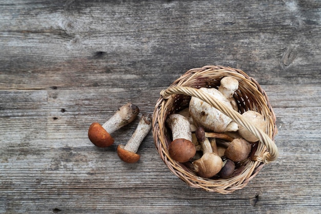 Cèpes sur fond de bois