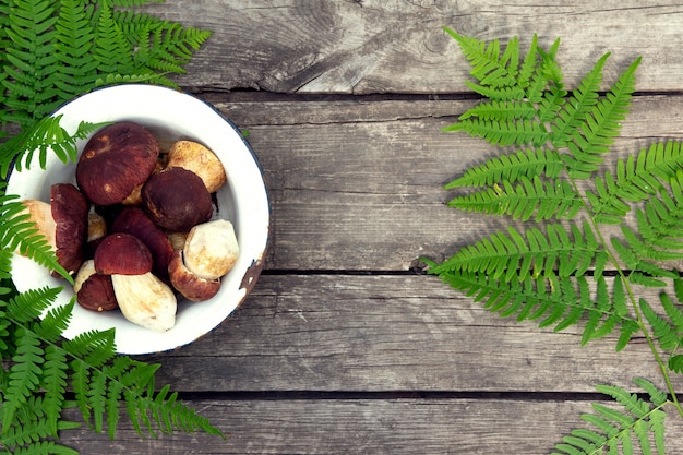 Photo cèpes sur une vieille table en bois