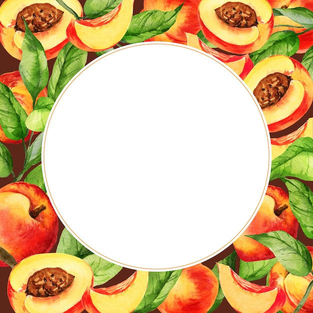 cercle d'aquarelle cadre blanc avec illustration de fruits d'été pêche ou abricot nectarine sur une branche avec des feuilles vertes croquis de nourriture sucrée avec des tranches de fruits fond brun