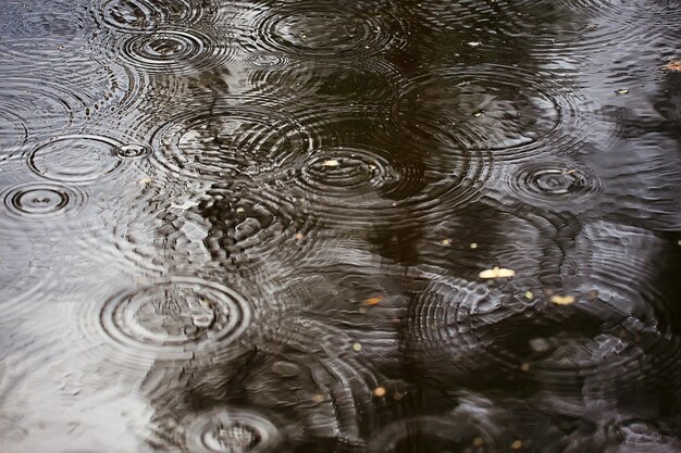 Photo cercles de flaque de pluie, fond abstrait aqua, eau d'automne de texture