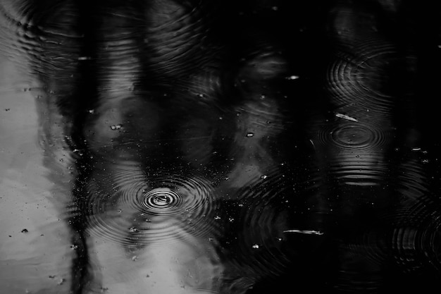 cercles de flaque de pluie, fond abstrait aqua, eau d'automne de texture