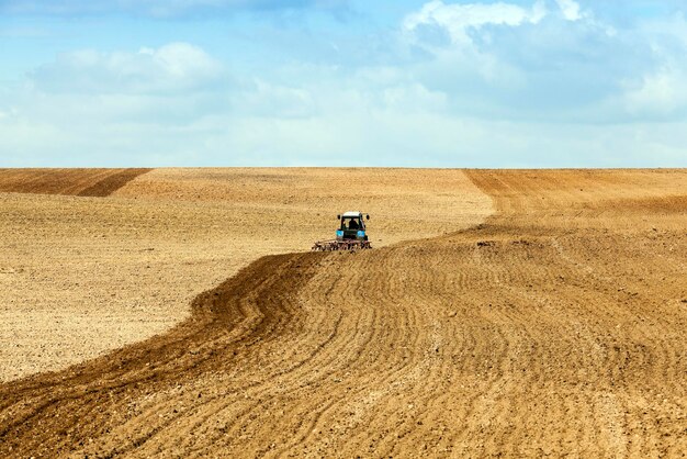 Céréales de plein champ