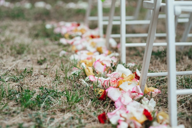 Cérémonie de mariage dans les bois parmi les arbres sur la piste verte