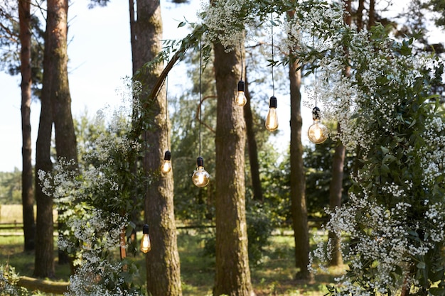 Cérémonie de mariage dans la nature Arche décorée de lampes