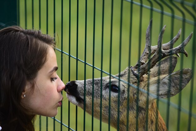 Cerf bambi dans la cage du zoo Concept d'œufs de Virginie et d'animaux sauvages Fille nourrit un carpeolus faon dans le parc