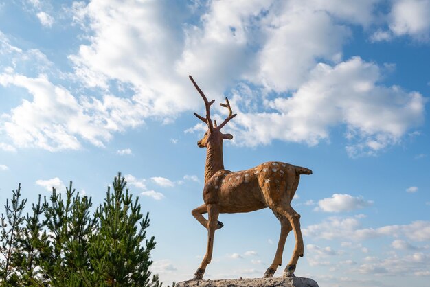 Photo cerf latéralement sur un fond de ciel bleu avec des nuages et des forêts