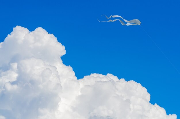 Cerf-volant blanc dans le ciel bleu avec un gros nuage