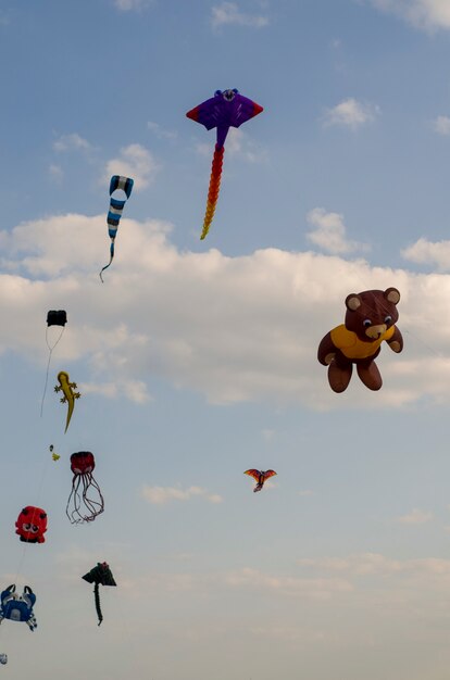 cerf-volant volant dans le ciel