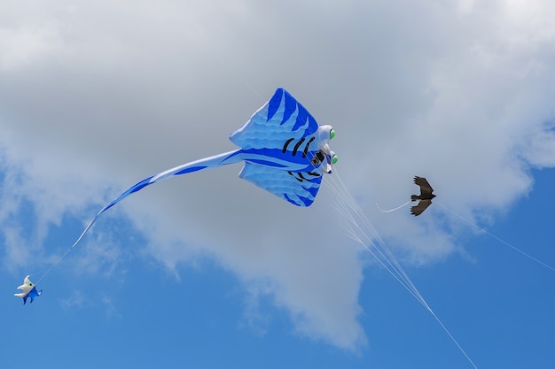 Photo cerfs-volants de formes variées