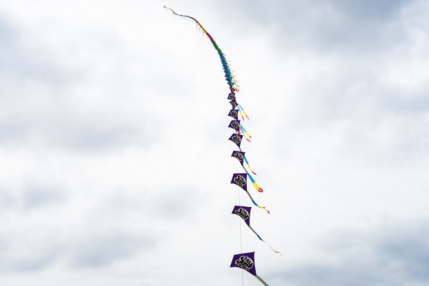 Cerfs-volants volant dans le ciel parmi les nuages. Festival de cerf-volant