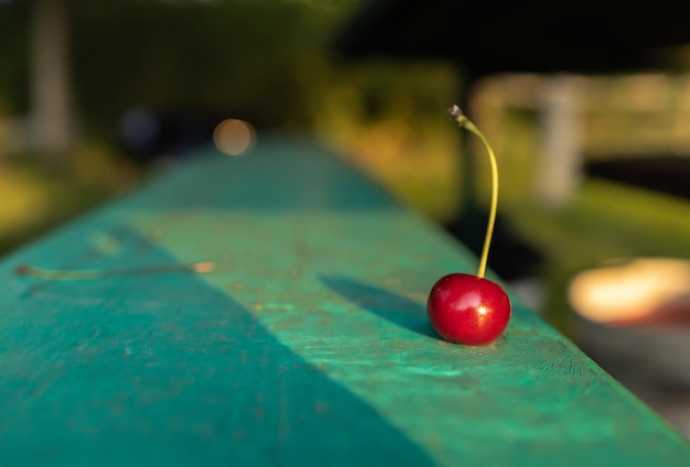 Cerise sur un banc dans le jardin