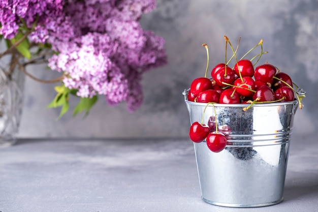 Cerise douce mûre dans un seau en métal.