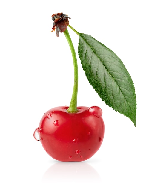 Photo cerise à la feuille verte isolée sur fond blanc avec un tracé de détourage.