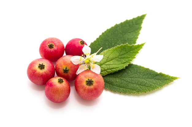 Cerise jamaïcaine avec du pollen et des feuilles isolées sur fond blanc