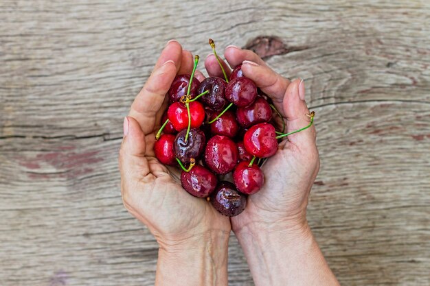 Cerise mûre, mains féminines, fraîche, vitamine, douce,