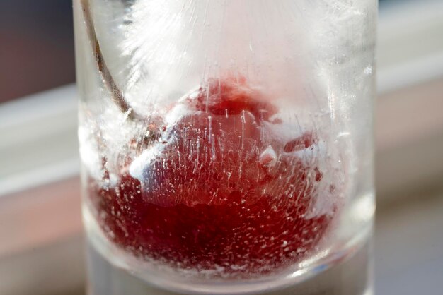 Cerise rouge congelée dans un morceau de fond de glace