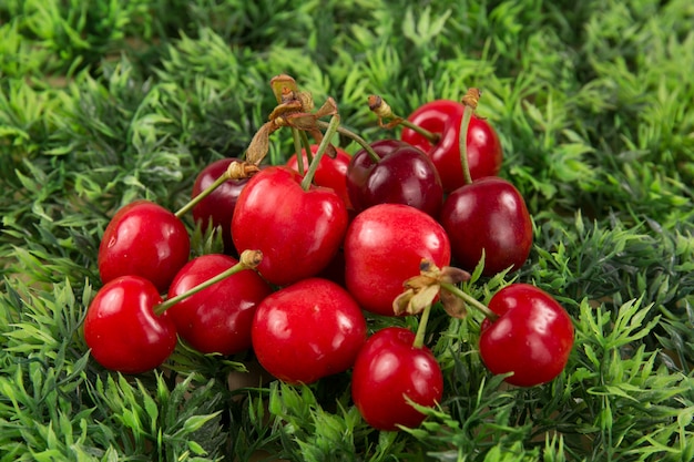 Cerise rouge savoureuse sucrée sur le vert