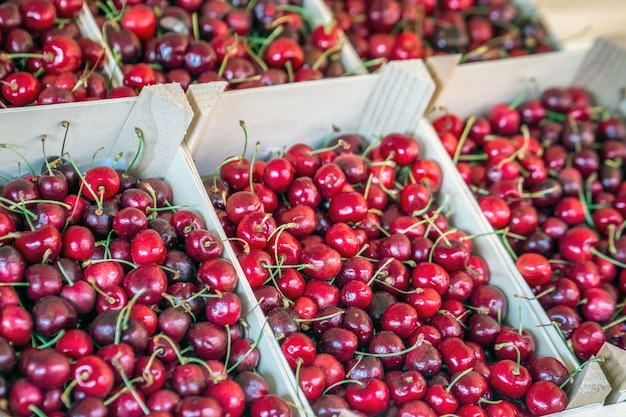 Cerises aux fruits du marché