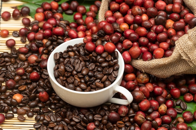 cerises de café et grains de café