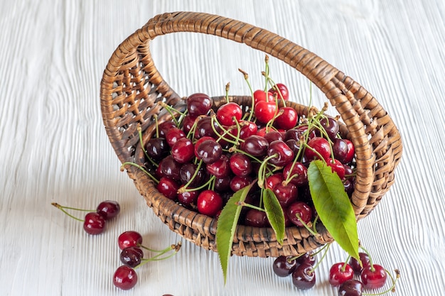 Cerises dans le panier