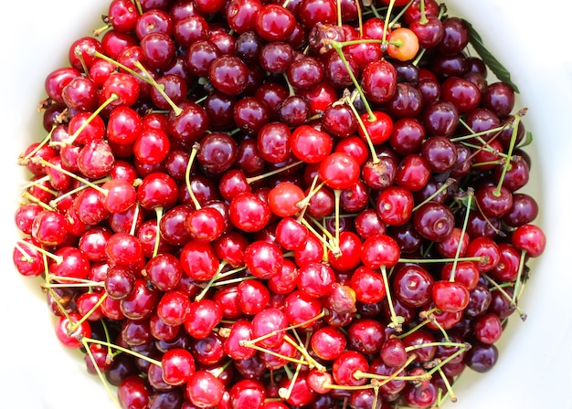 Cerises douces rouges mûres avec des tiges se bouchent