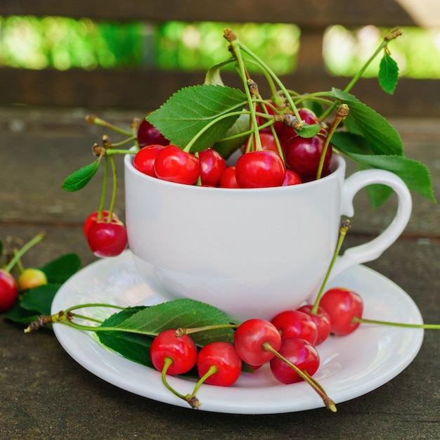 Cerises avec des feuilles dans la belle tasse blanche sur une table rurale rugueuse en bois marron. Vue sur le jardin rustique d'été. Carré, mise au point sélective.