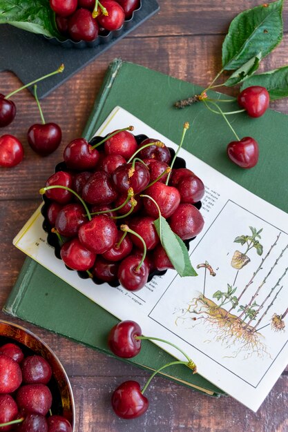 Cerises fraîchement cueillies, concept du terroir agricole