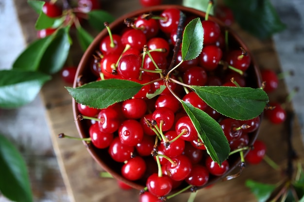 Cerises fraîches dans un bol