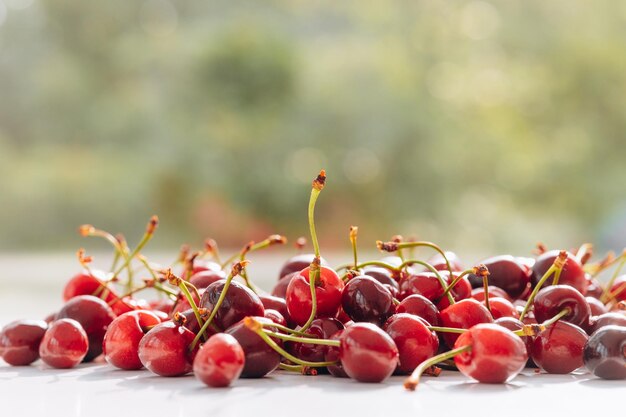 Cerises fraîches sur fond blanc Alimentation saine