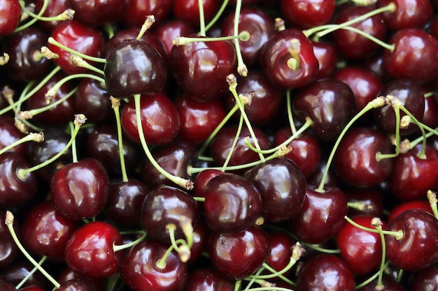 Cerises fraîches mûres rouges Fond de cerise Fond de nourriture