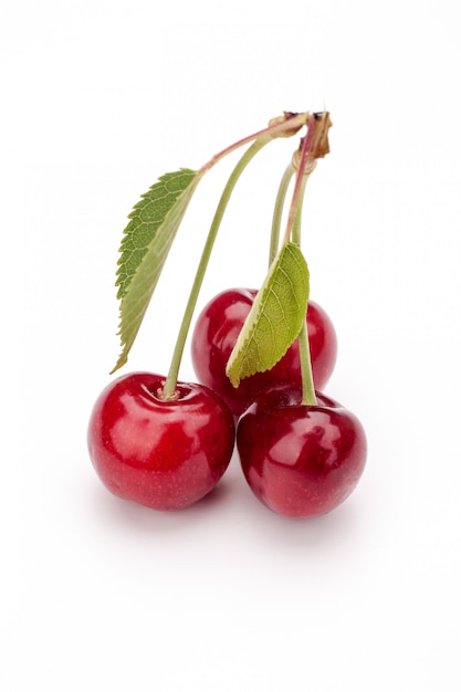 Cerises, isolé, blanc