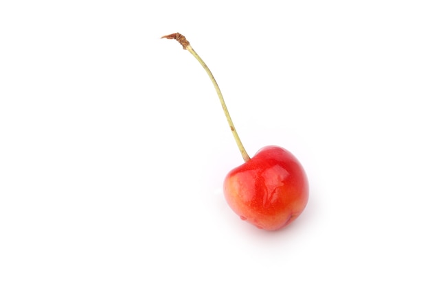 Cerises isolés sur fond blanc