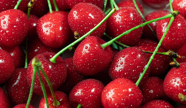 Cerises juteuses mûres avec des gouttes d'eau