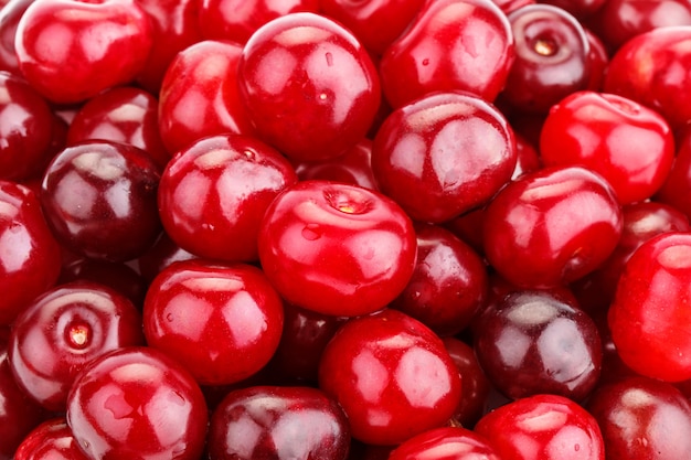 Cerises mûres rouges