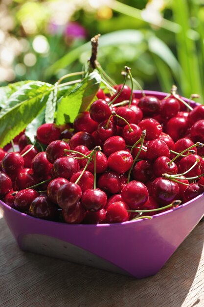 Cerises rouges dans un bol rose sur table en bois