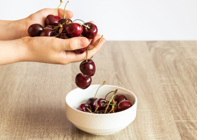 Cerises rouges dans les mains d&#39;un enfant.