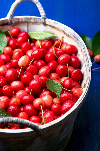 Cerises rouges dans un panier blanc sur bois bleu. Cerise se bouchent.