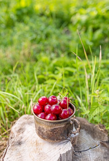 Cerises rouges fraîches