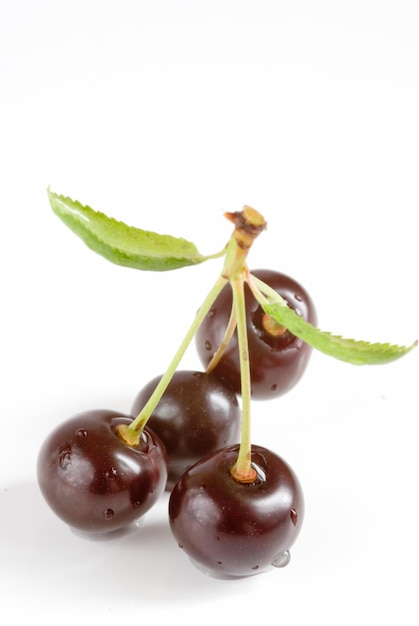 Cerises rouges isolées sur blanc