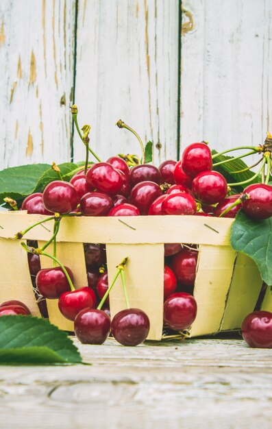 Cerises rouges Mise au point sélective.