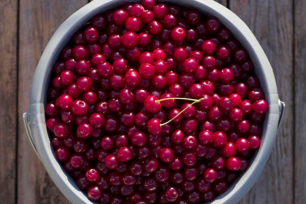 cerises rouges mûres dans un buck avec vue supérieure de près