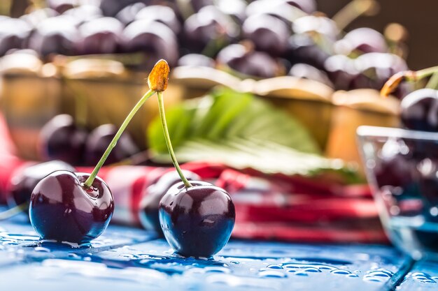 Cerises sucrées mûres sur table en bois bleu avec des gouttes d'eau.