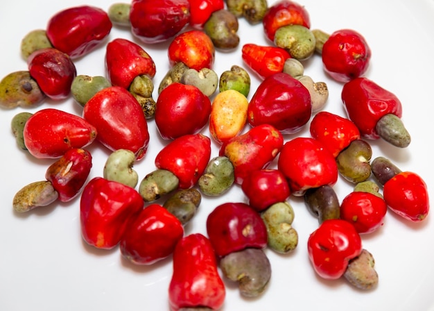 Le cerrado cajuzinho Anacardium humile également connu sous le nom de cajuzinhodocampo ou cajui brésilien wi