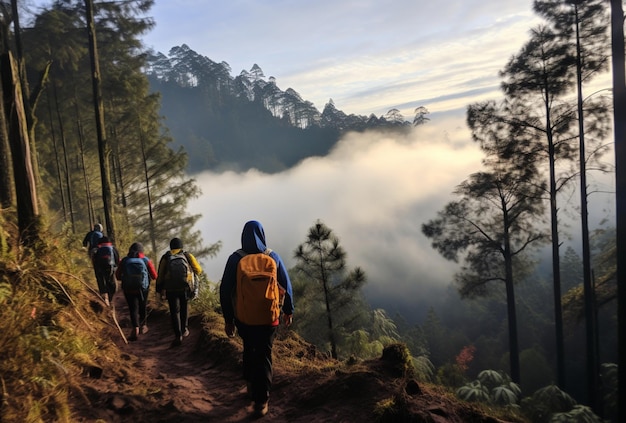 Certaines personnes grimpent la montagne en traversant le ravin.